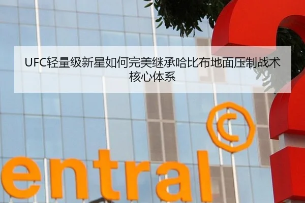 UFC轻量级新星如何完美继承哈比布地面压制战术核心体系