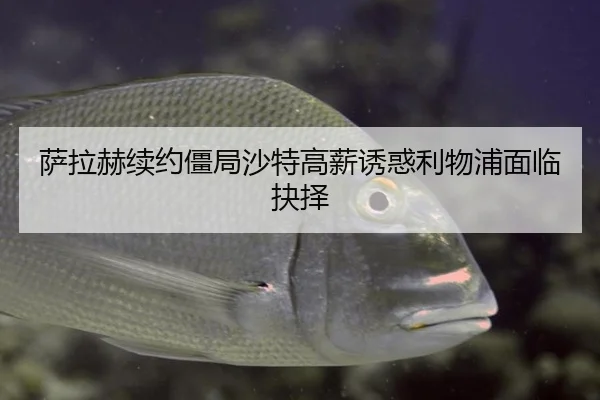 sa-la-he-xu-yue-jiang-ju-sha-te-gao-xin-you-huo-li-wu-pu-mian-lin-jue-ze-3-482.jpg