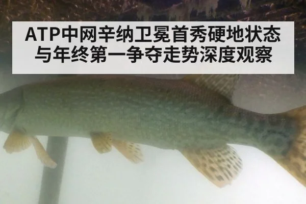 ATP中网辛纳卫冕首秀硬地状态与年终第一争夺走势深度观察